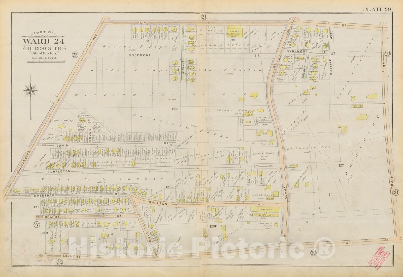 Historic Map : Atlas City of Boston, Vol. 5, Dorchester, Dorchester 1894 Plate 029 , Vintage Wall Art