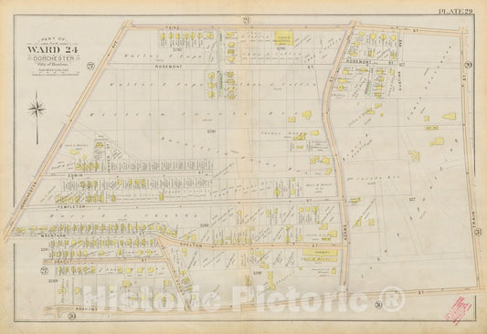 Historic Map : Atlas City of Boston, Vol. 5, Dorchester, Dorchester 1894 Plate 029 , Vintage Wall Art