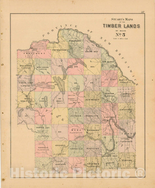 Historic Map : Atlas State of Maine, Timber Lands Number 5 1894-95 , Vintage Wall Art
