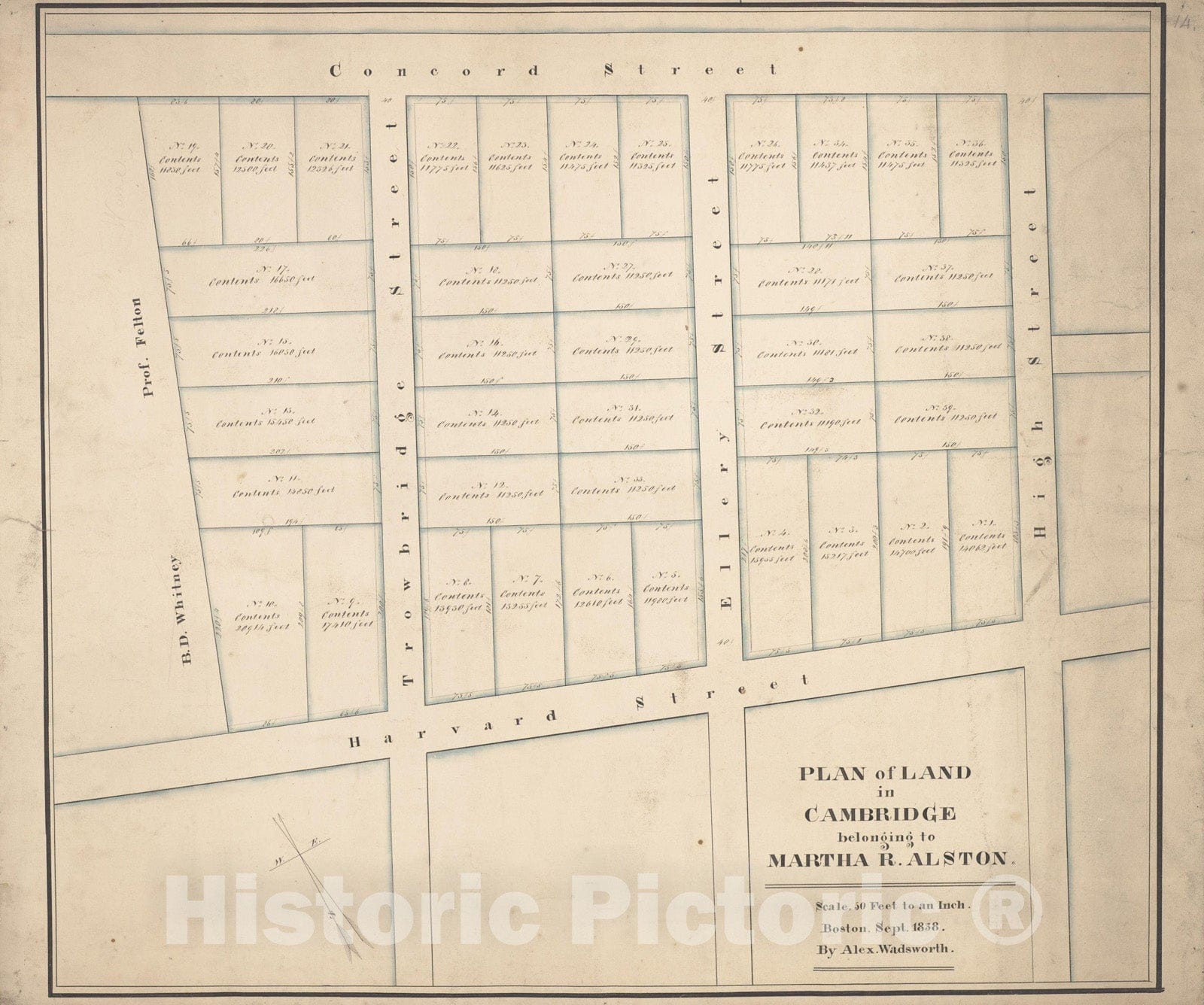 Historic Map : Plan of Land Belonging to Martha Alston 1838 , Vintage Wall Art