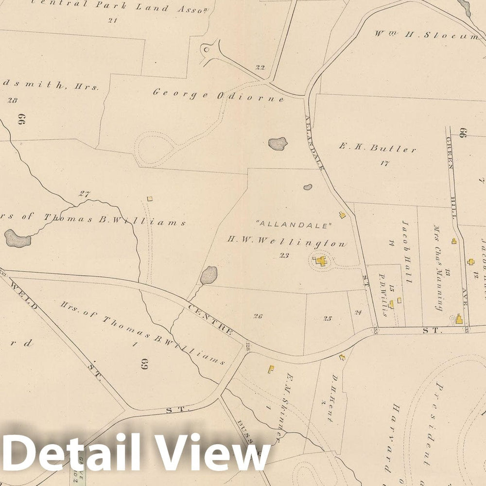 Historic Map : City Atlas of Boston, Massachusetts, West Roxbury 1882 Plate 023 , Vintage Wall Art