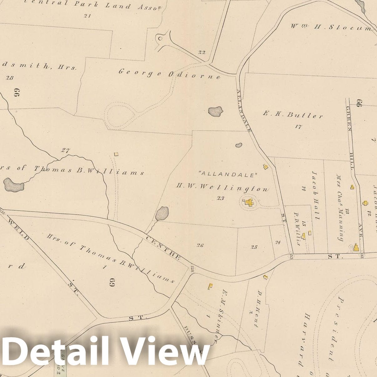 Historic Map : City Atlas of Boston, Massachusetts, West Roxbury 1882 Plate 023 , Vintage Wall Art