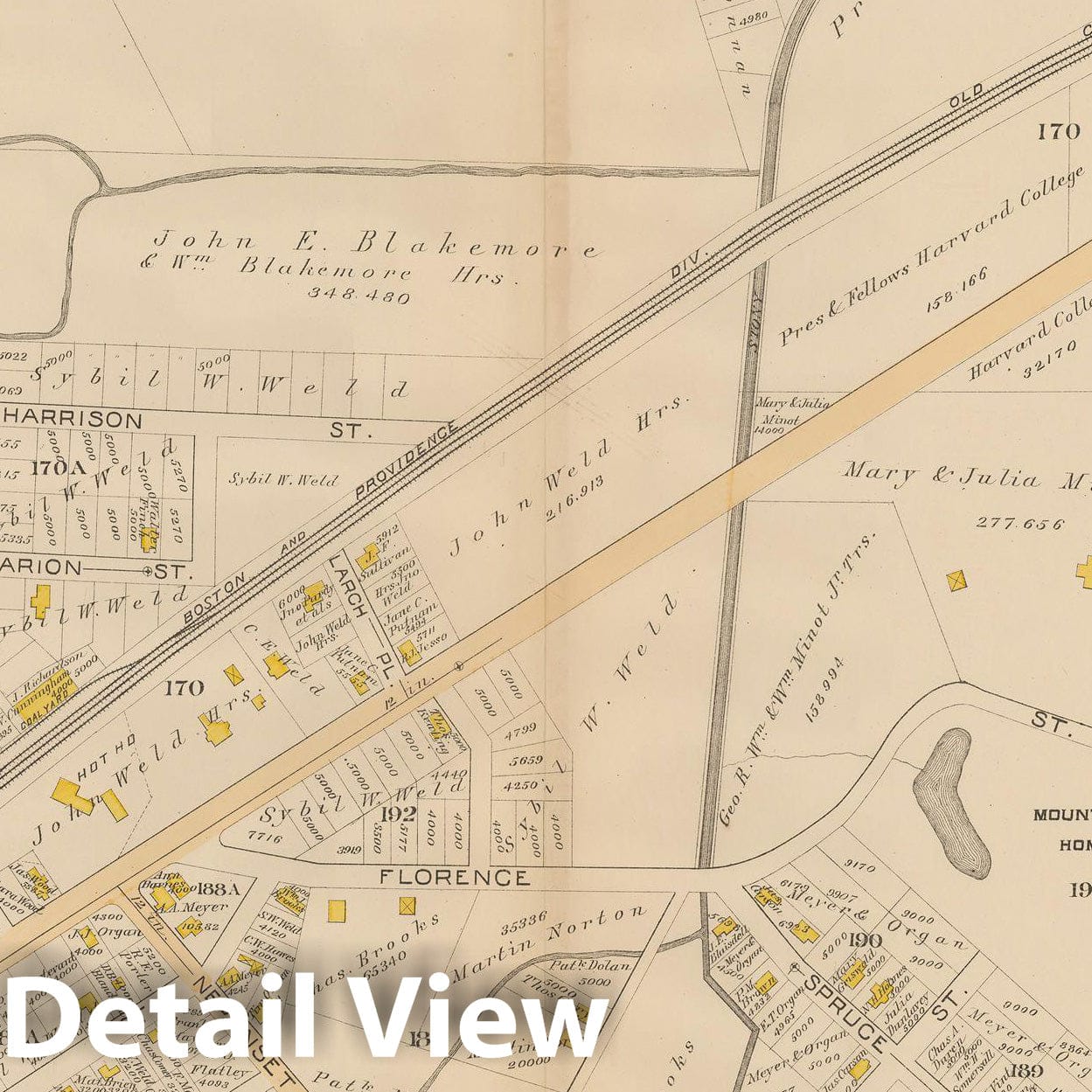Historic Map : Atlas City of Boston, West Roxbury, Roslindale 1890 Plate 014 , Vintage Wall Art
