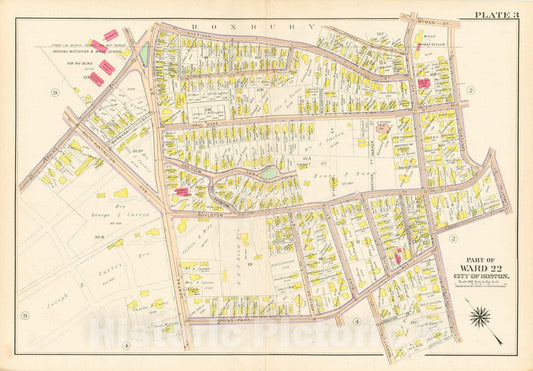 Historic Map : West Roxbury, & Roslindale, 1905 Plate 003 , Vintage Wall Art