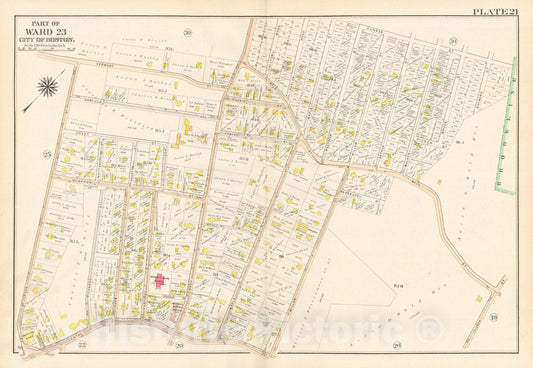 Historic Map : West Roxbury, & Roslindale, 1905 Plate 021 , Vintage Wall Art