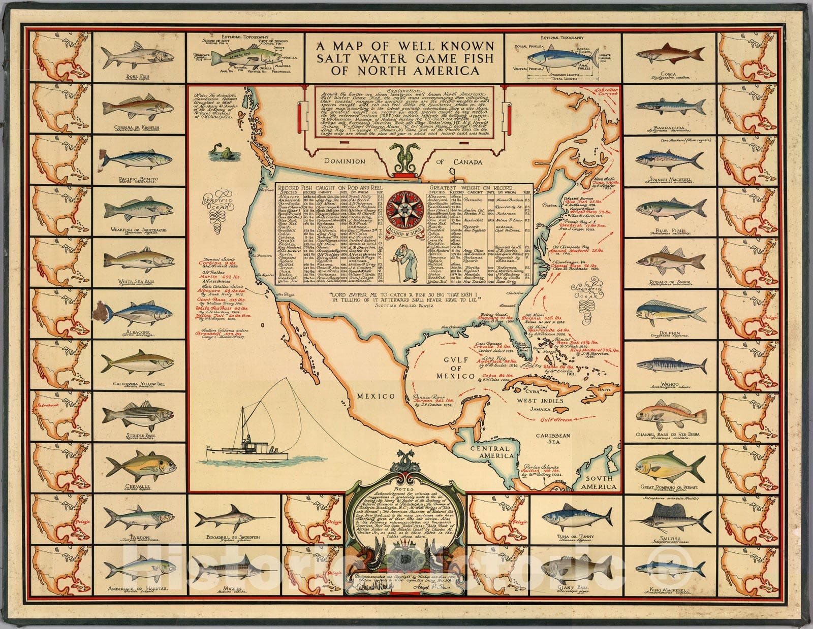 North America - Pictorial Map, 1936 - Salt Water Game Fish
