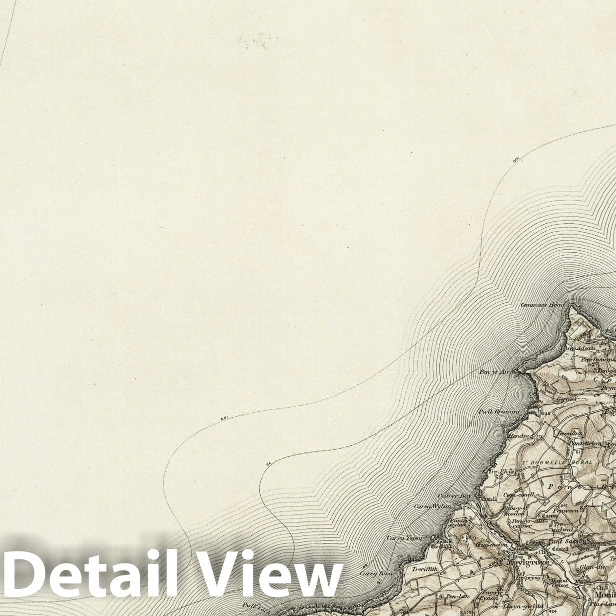 Cardigan - Survey Map, 1898 - Ordnance Survey Topographic Map Print