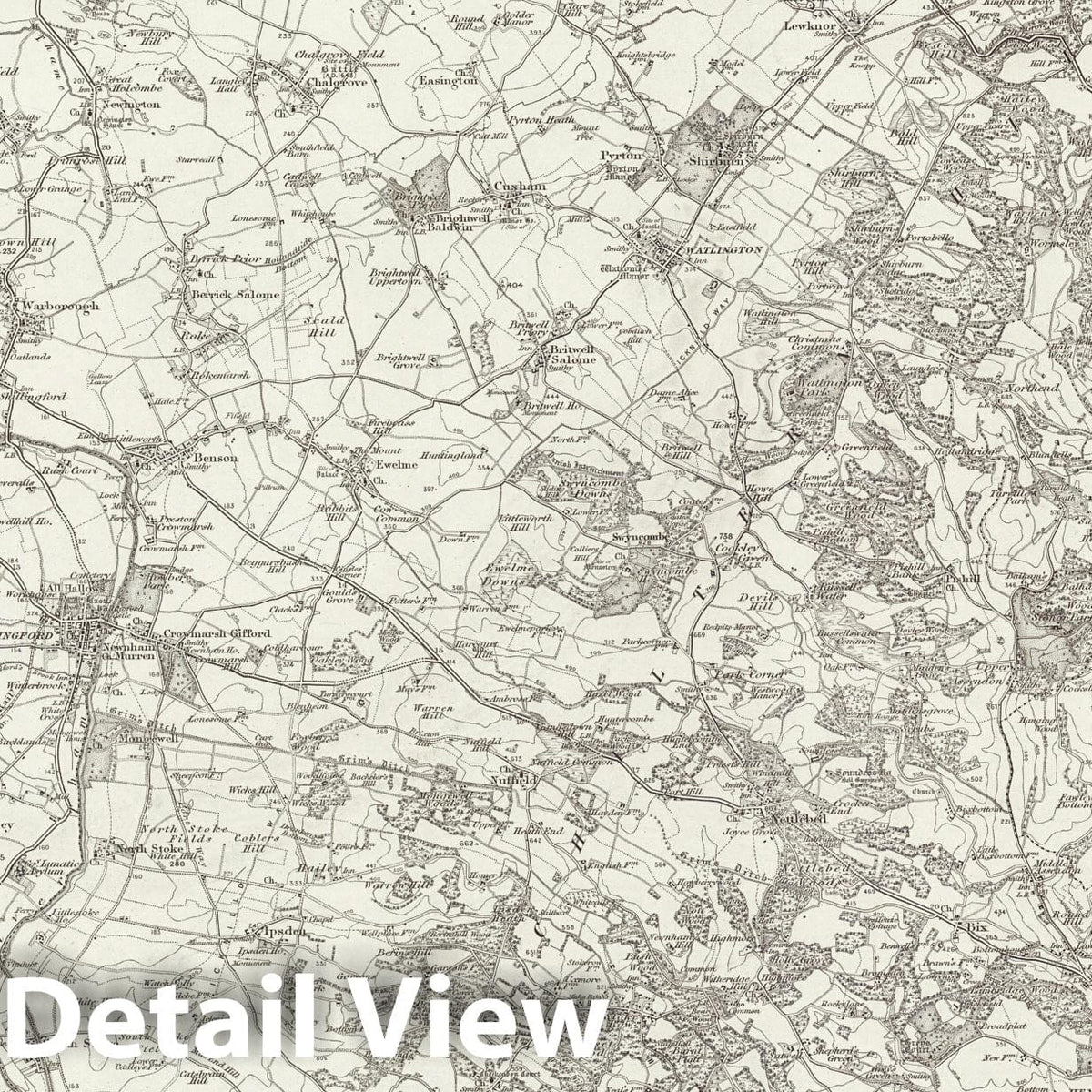 Henley on Thames - Survey Map, 1895 - Ordnance Survey Historical Print