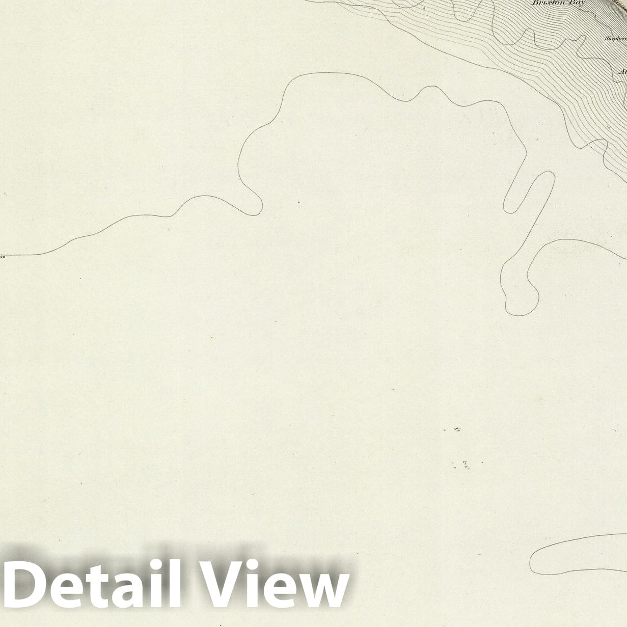 Chale - Survey Map, 1895 - Ordnance Survey England