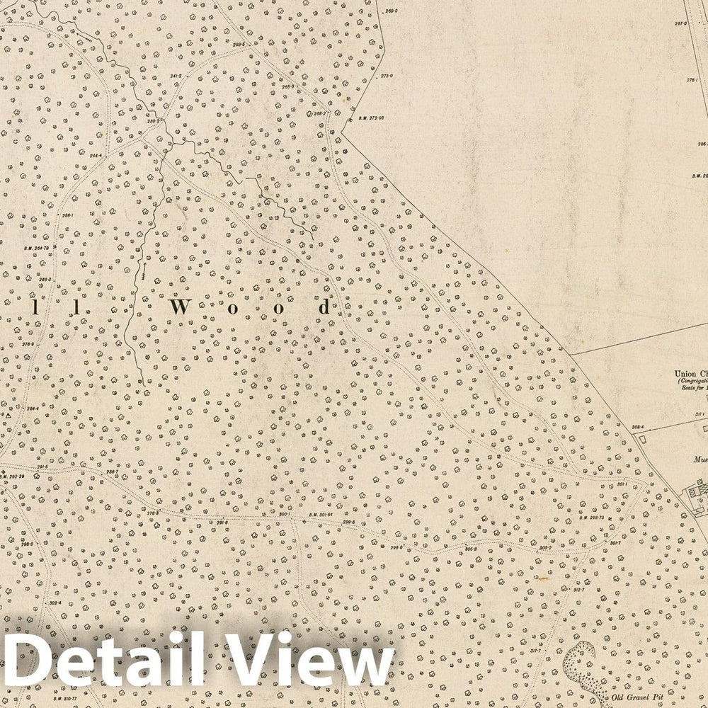 Historic Map : London (England), City Atlas Map, London Sheet III.21 1895 - Vintage Wall Art
