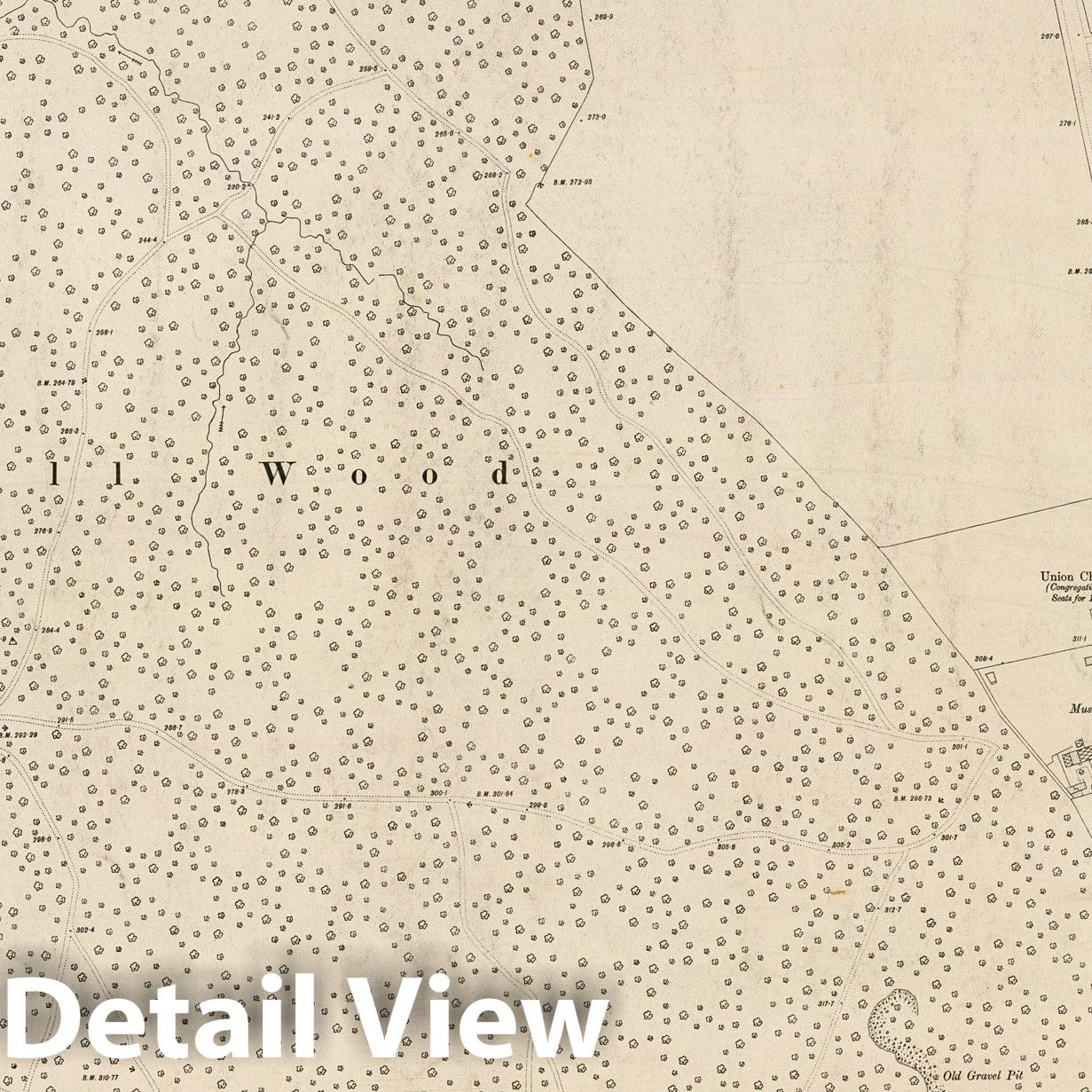 London, Sheet III.21 - Survey Map, 1895 - Ordnance Survey Historical Print