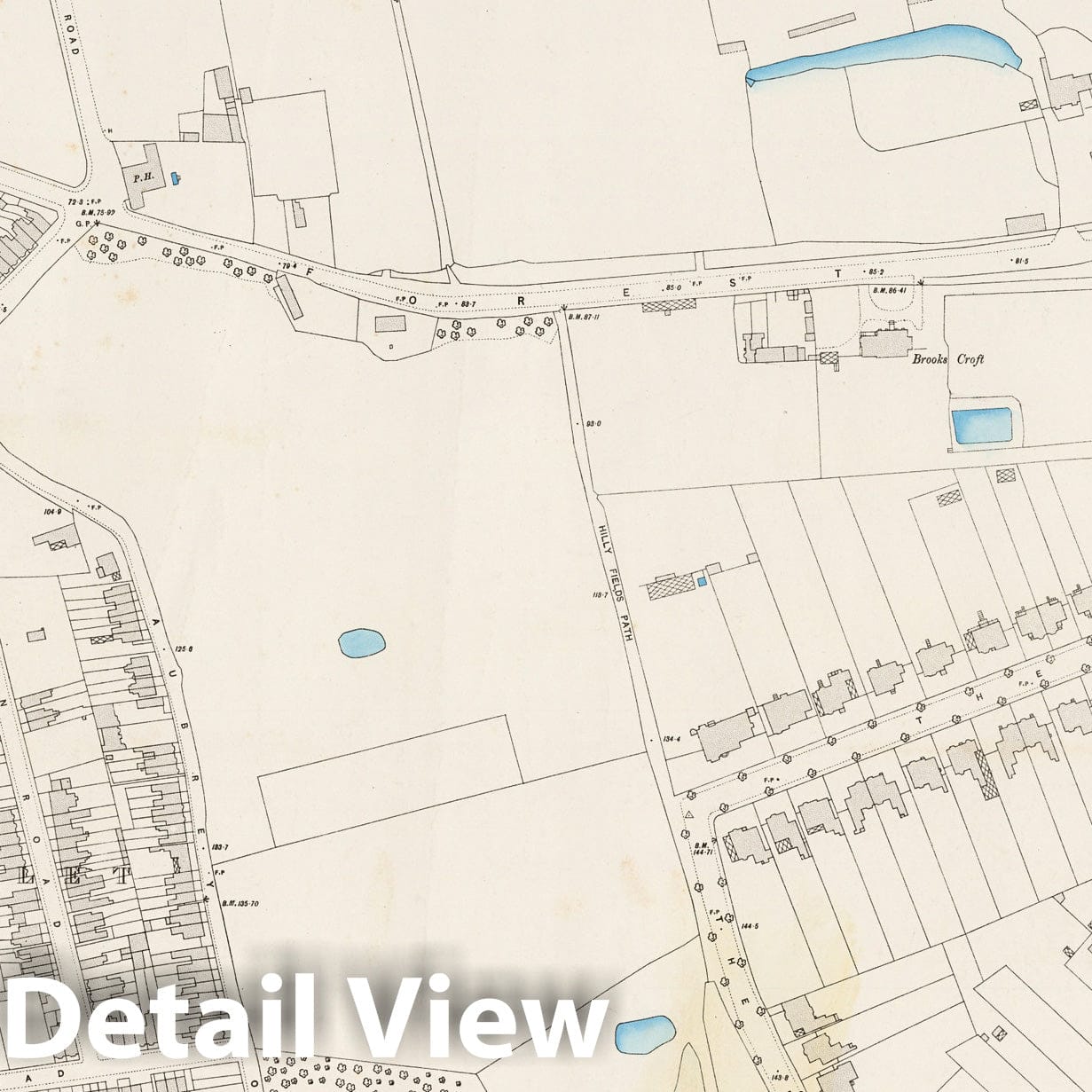 London, Sheet IV.31 - Survey Map, 1895 - Ordnance Survey Historical Print