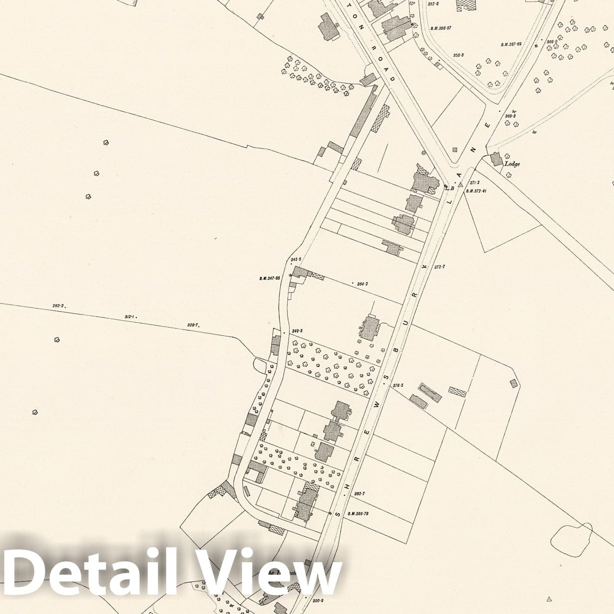 London, Sheet XII.37 - Survey Map, 1896 - Ordnance Survey Historical Print