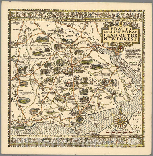 Historic Map : Pratt's High Test Plan of the New Forest. 1930 - Vintage Wall Art