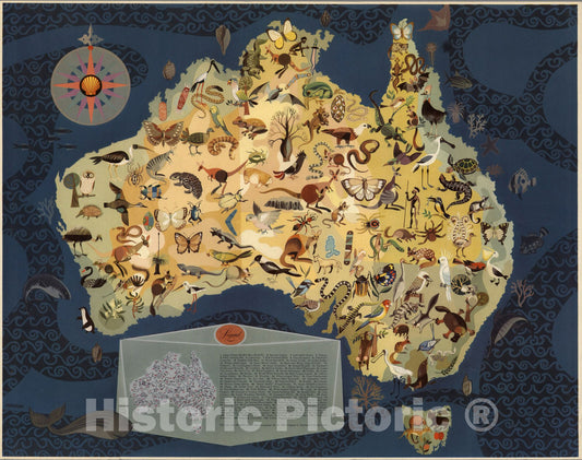 Historic Map : Australia - Decorative Animals by George Santos. 1940 - Vintage Wall Art