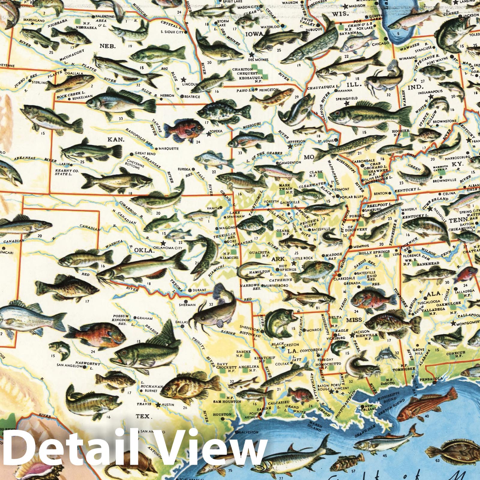 Sportsmen's Fishing Map of the United States and Neighboring Waters - 1957 Pictorial Map Print