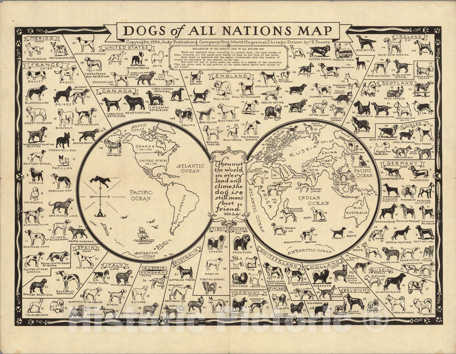 Dogs of All Nations Map - Pictorial Map, 1936 - Historical Map Print