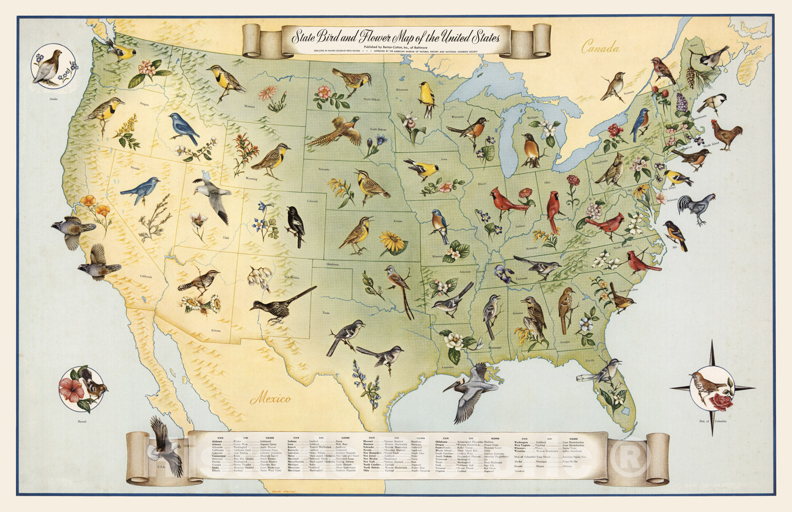 Historic Map - State Bird and Flower Map of the United States, 1965 - Vintage Wall Art