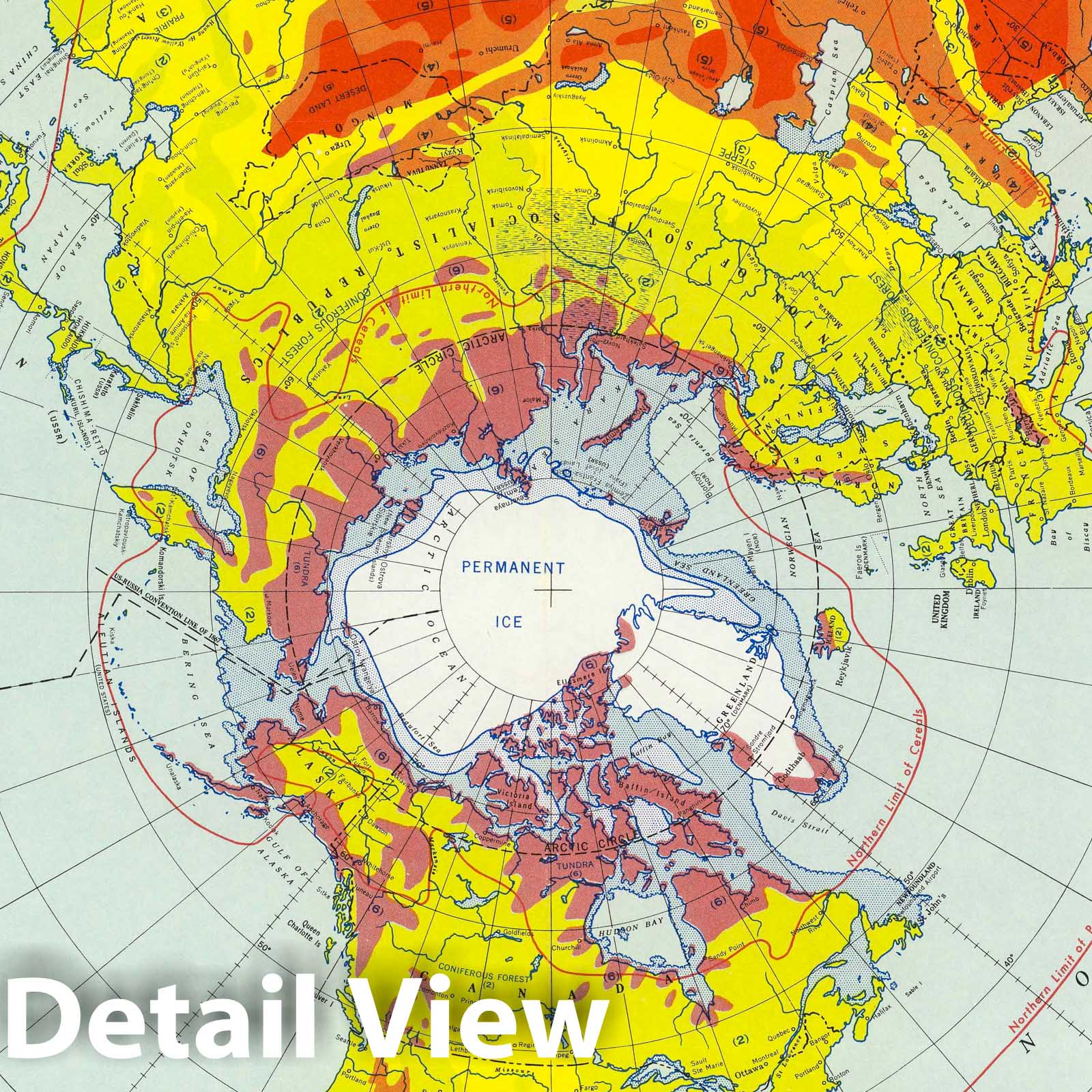 Northern Hemisphere Vegetation Chart, 1957 - Historical Map Print