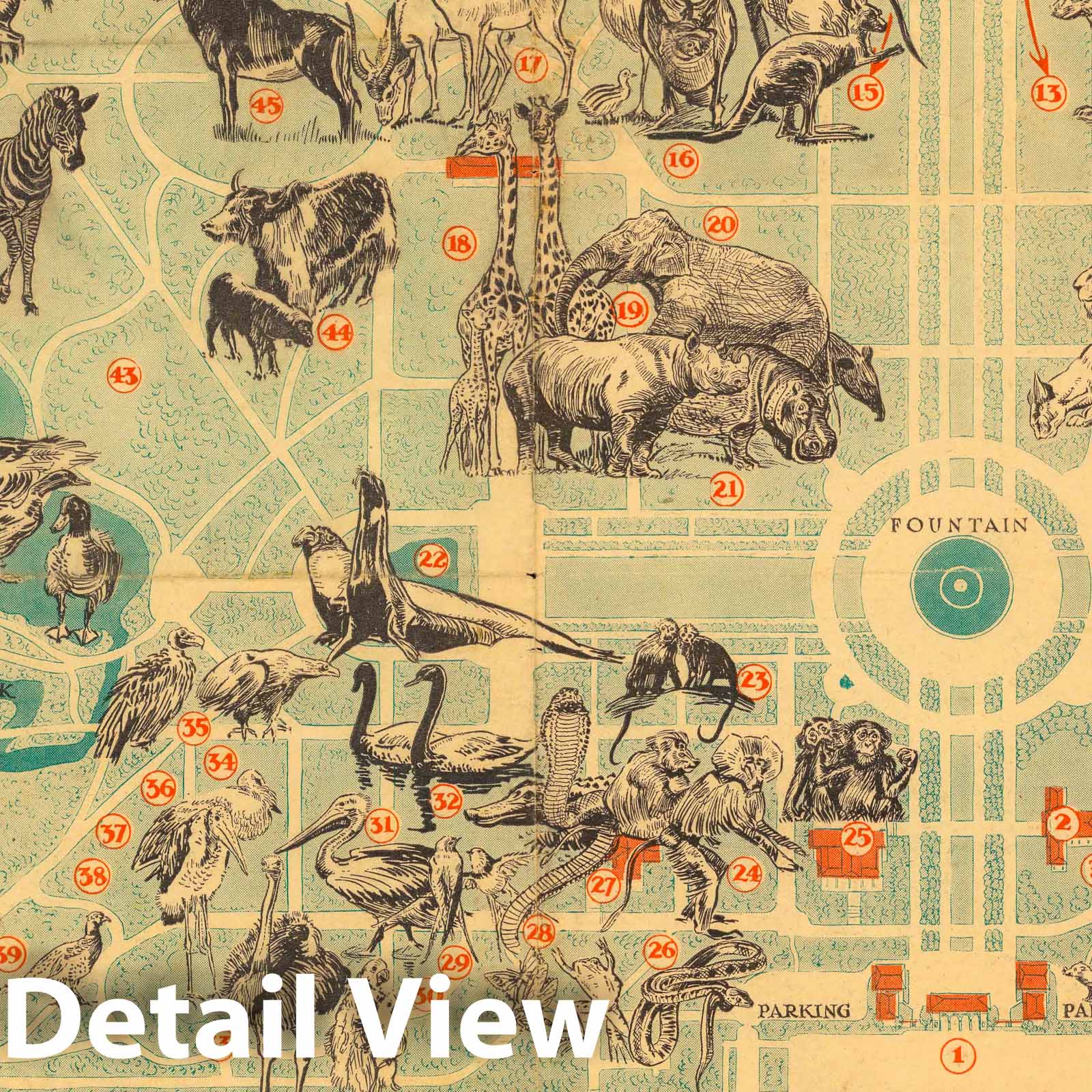 Chicago Zoological Park, Brookfield - Pictorial Map, 1950