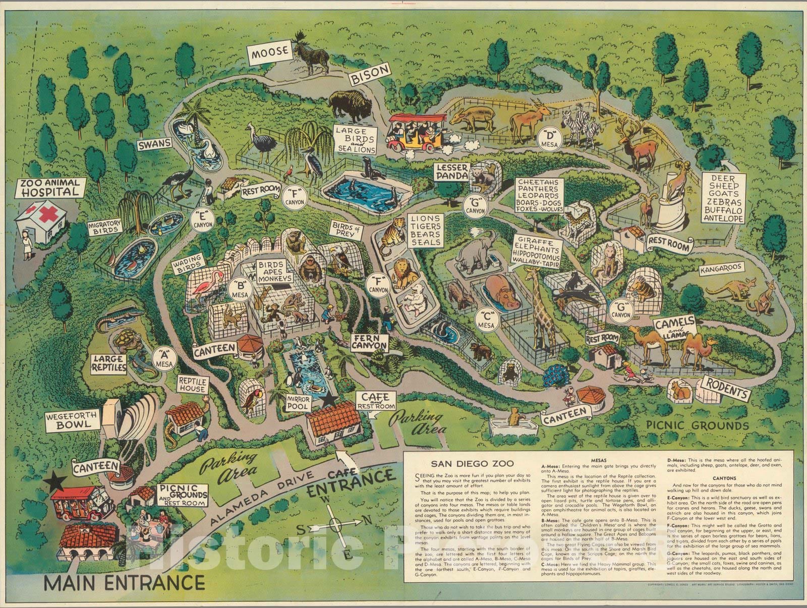 San Diego Zoo, California - Pictorial Map, 1948