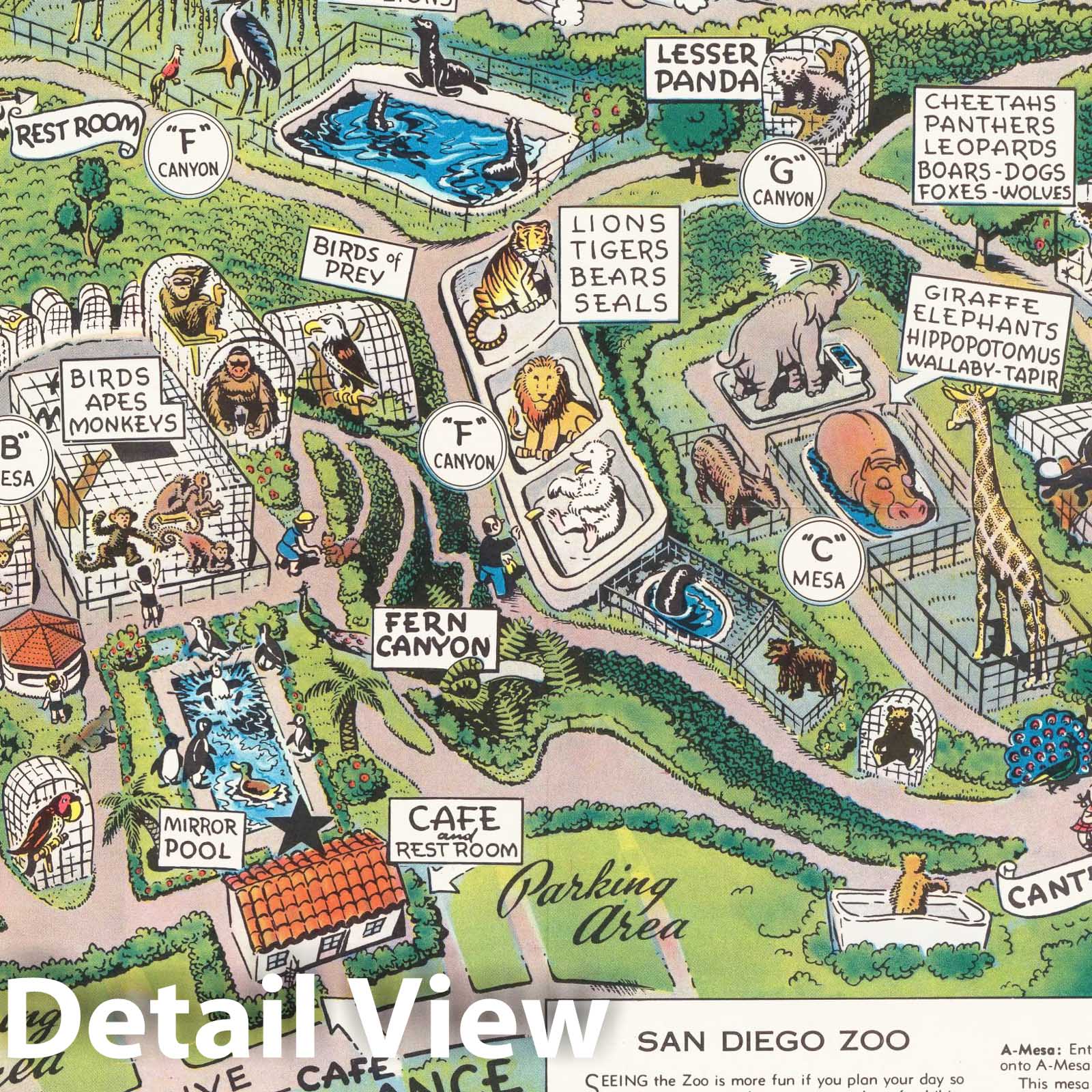 San Diego Zoo, California - Pictorial Map, 1948