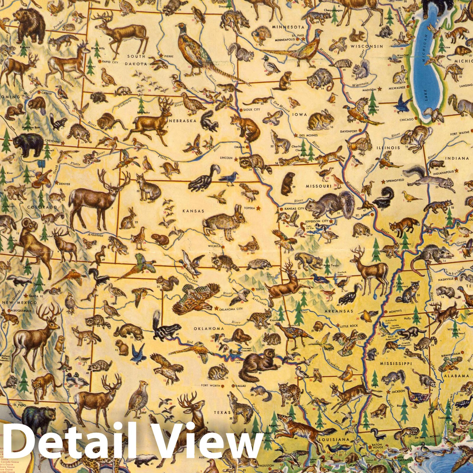 Sportman's Map of U.S. Wildlife, 1956 - Historical Map Print