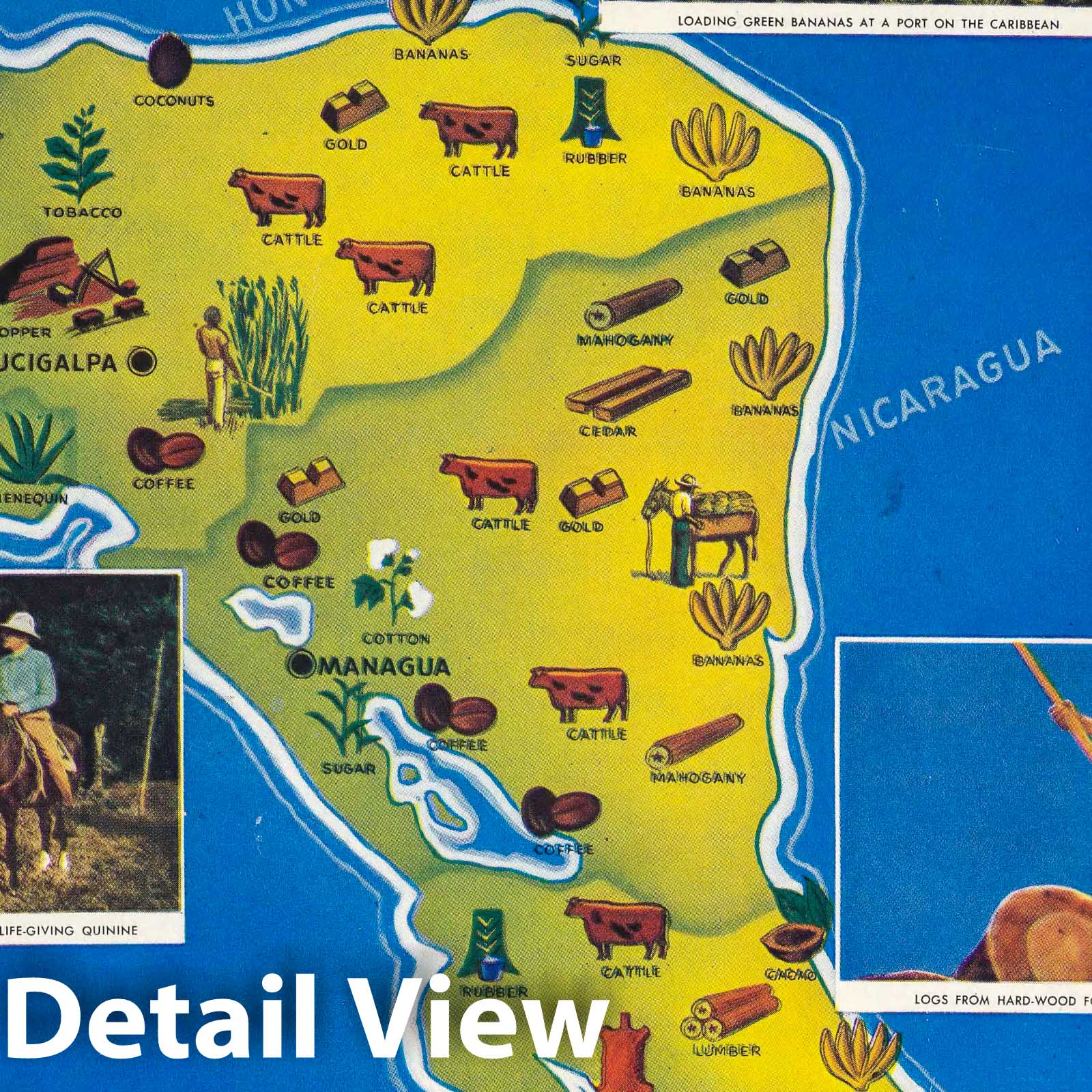 Pan Am - World Airline Routes, 1950 - Central America Pictorial Map Print