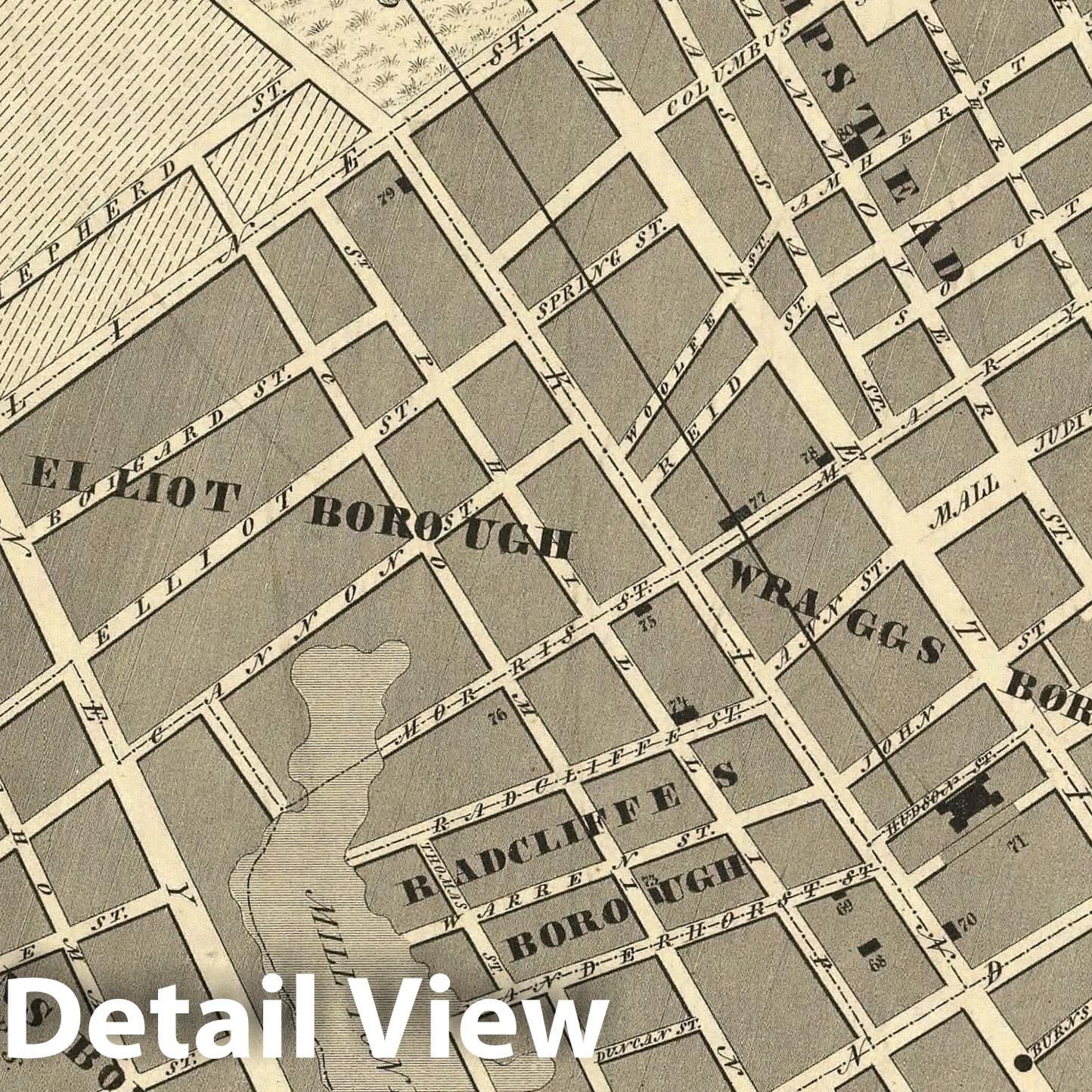 Charleston, South Carolina - Bird's Eye View, 1844 - Historic City Plan Map Print