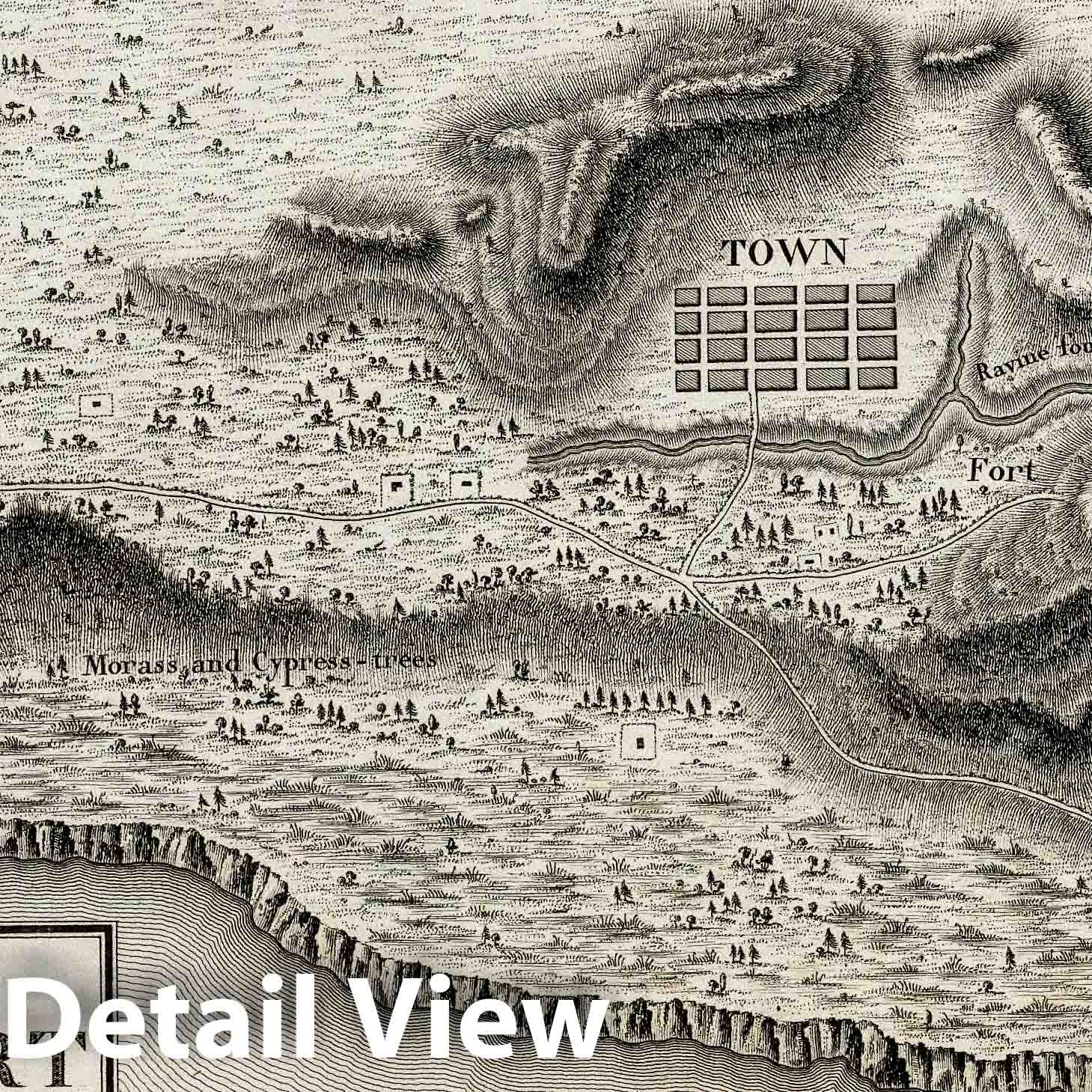 Historic Map : Town and Fort of Natchez. 1796 - Vintage Wall Art