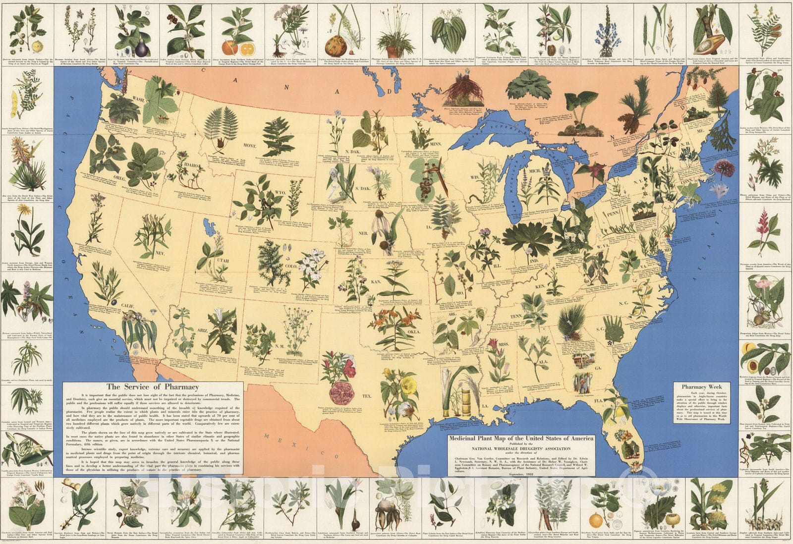 United States - Pictorial Map, 1932 - Medicinal Plants Historical Map Print
