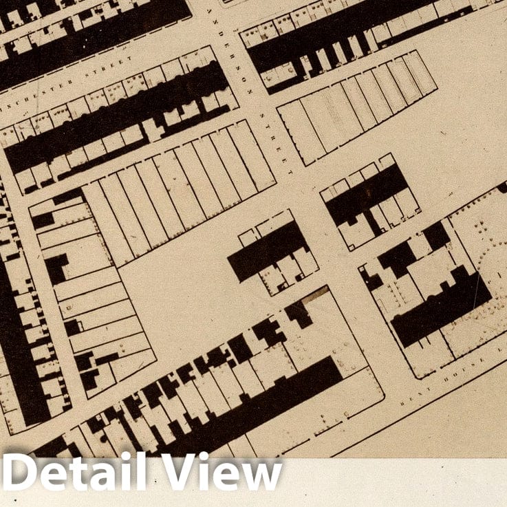 Historic Map : Survey Book, Part of the plan of South Shields 1857 - Vintage Wall Art