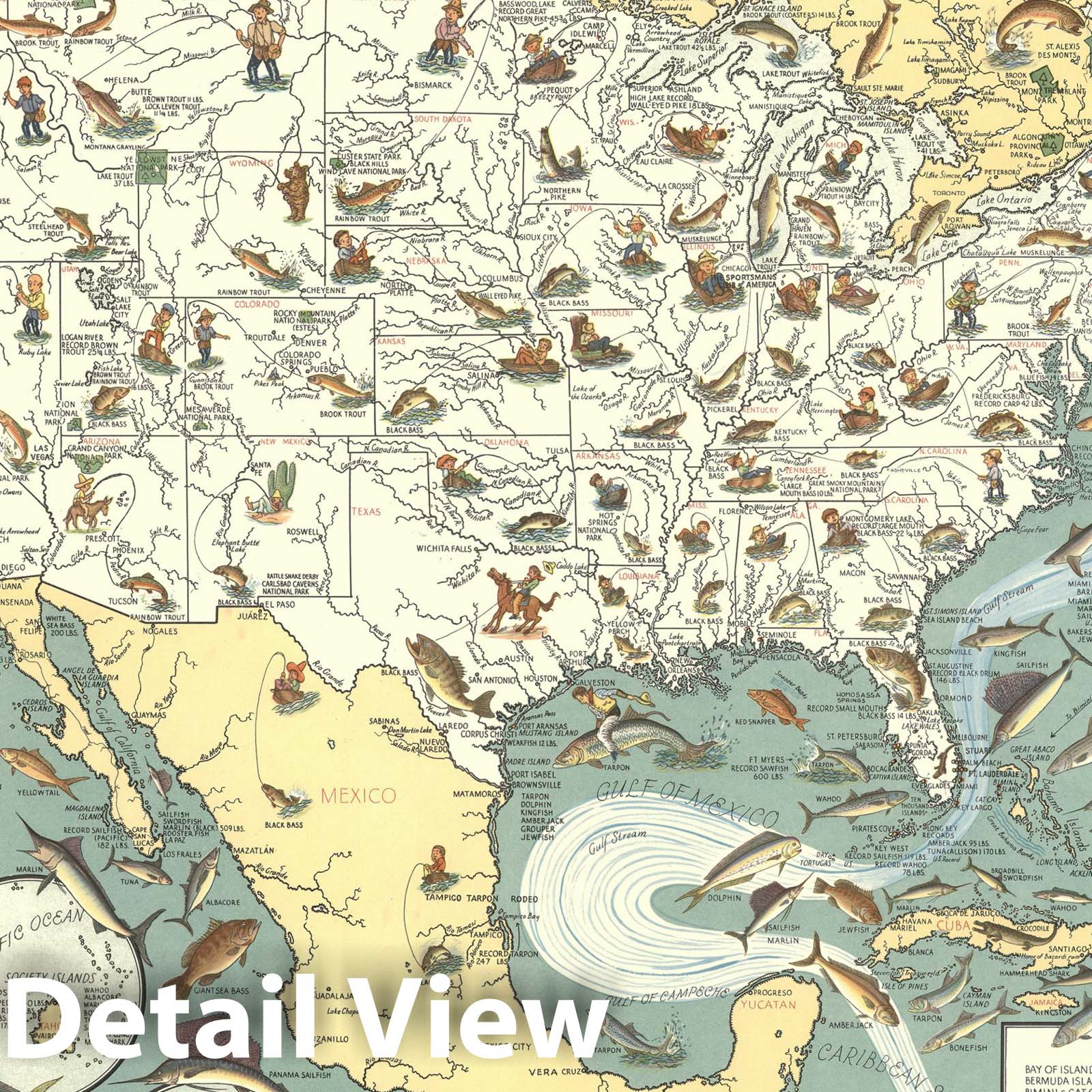 North America - Big Game Fish, 1936 - Historical Map Print