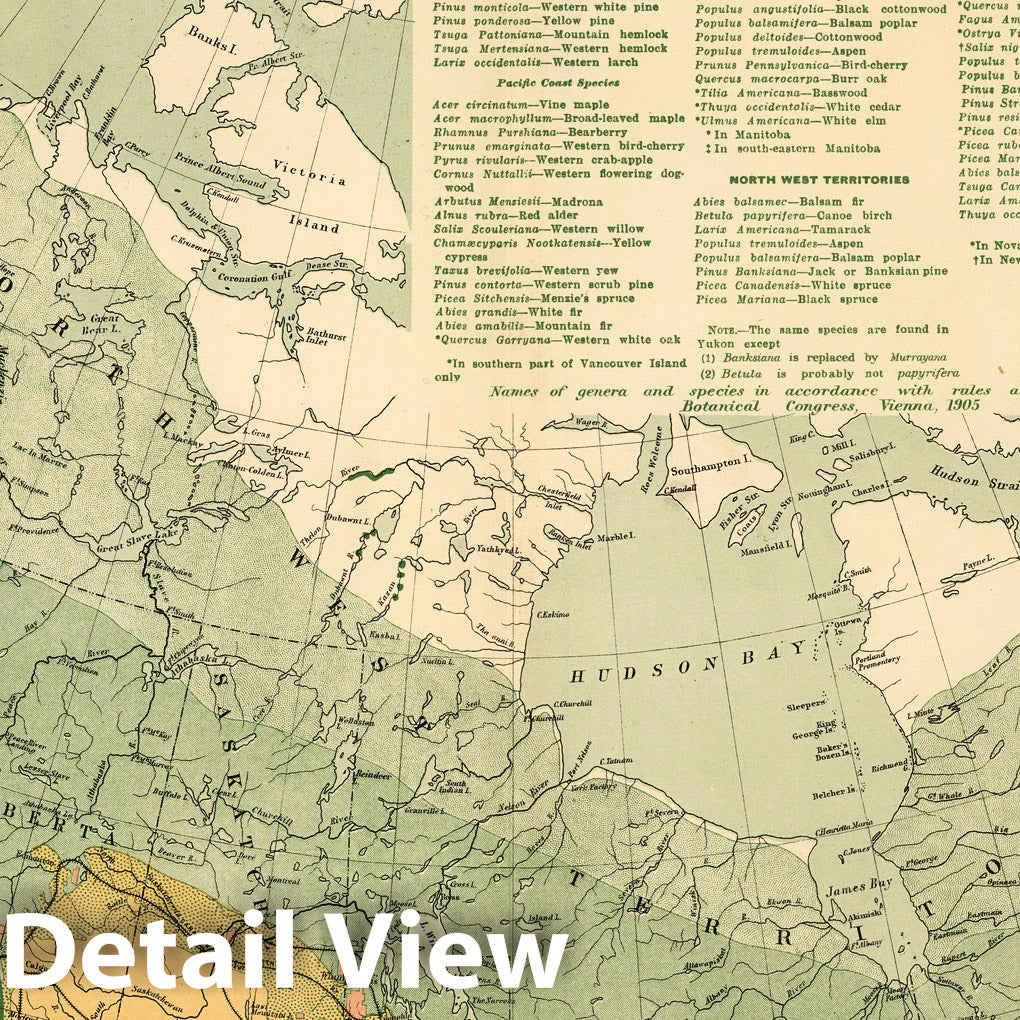 Canada - Forests, 1906 - Historical Map Print