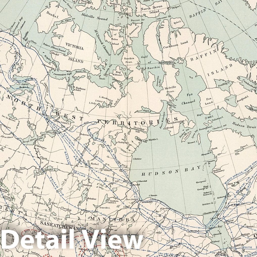 Canada - Forest Limits Map, 1915 - Historical Map Print