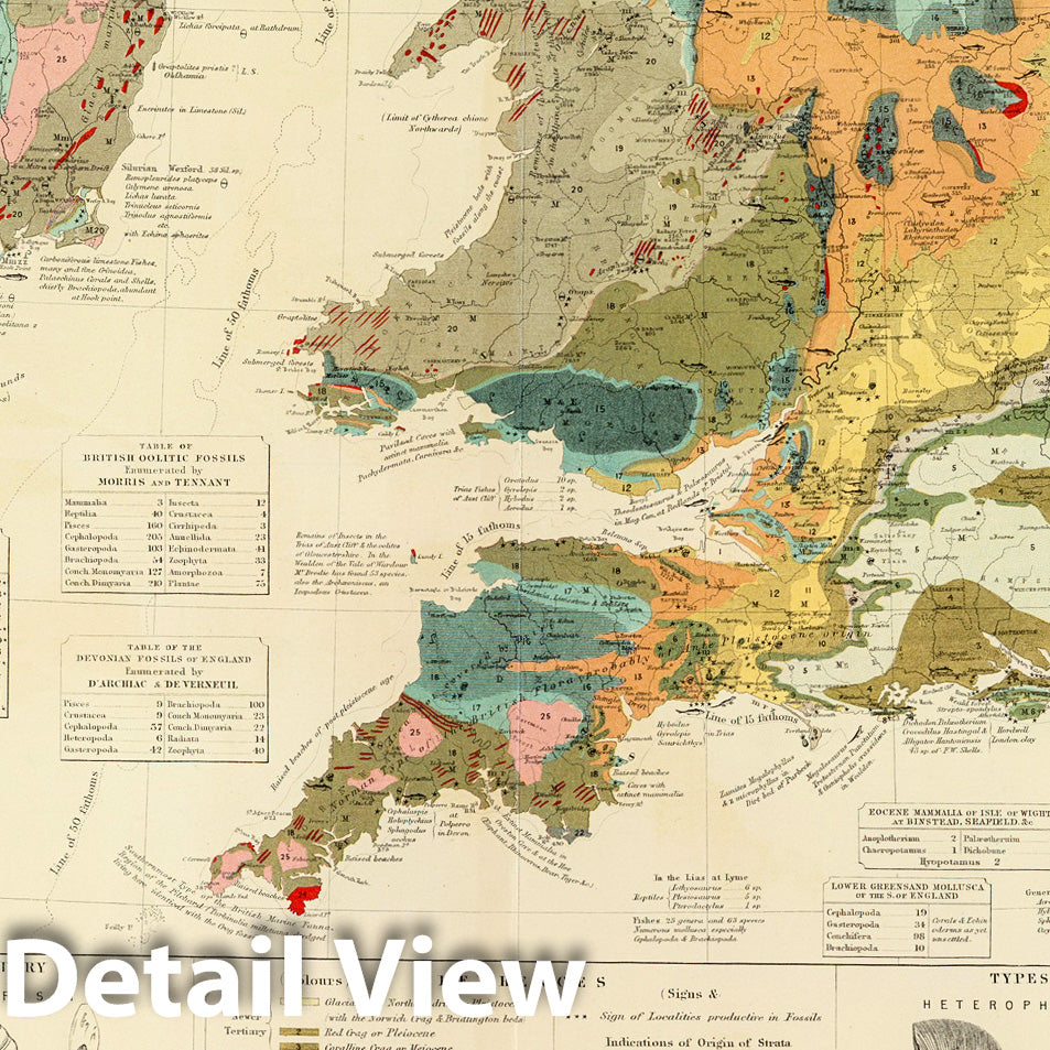 Palaeontological Map, British Islands - Geologic Map, 1854