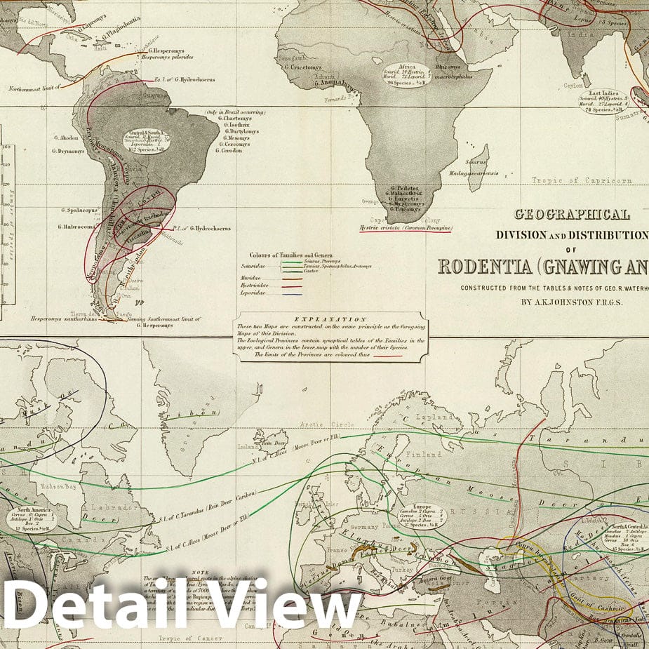 Rodentia and Ruminantia - Distribution, 1856 - Historical Zoological Map Print
