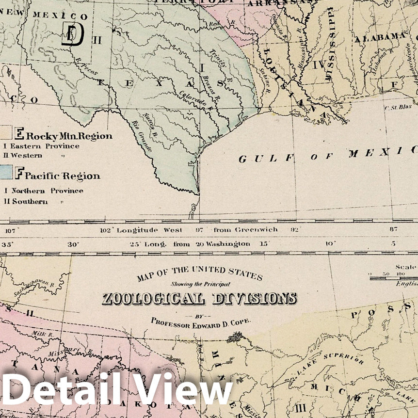 United States - Botanical and Zoological Maps, 1877 - Historical Map Print