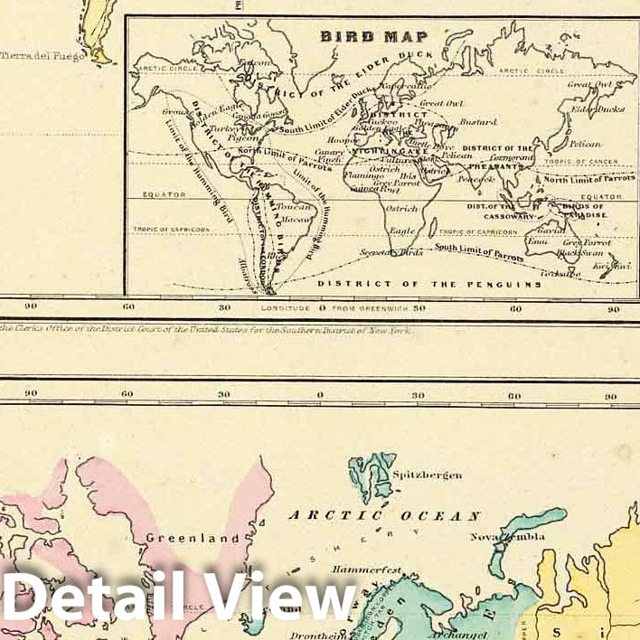 World - Animal Kingdom Distribution, 1856 - Colton's Atlas Historical Map Print