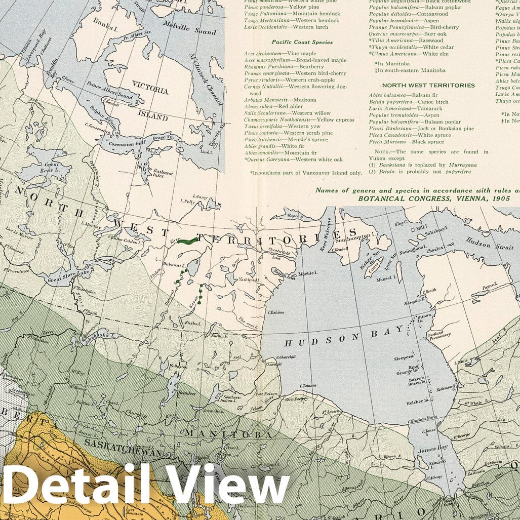 Canada - Forests, 1915 - Historical Map Print