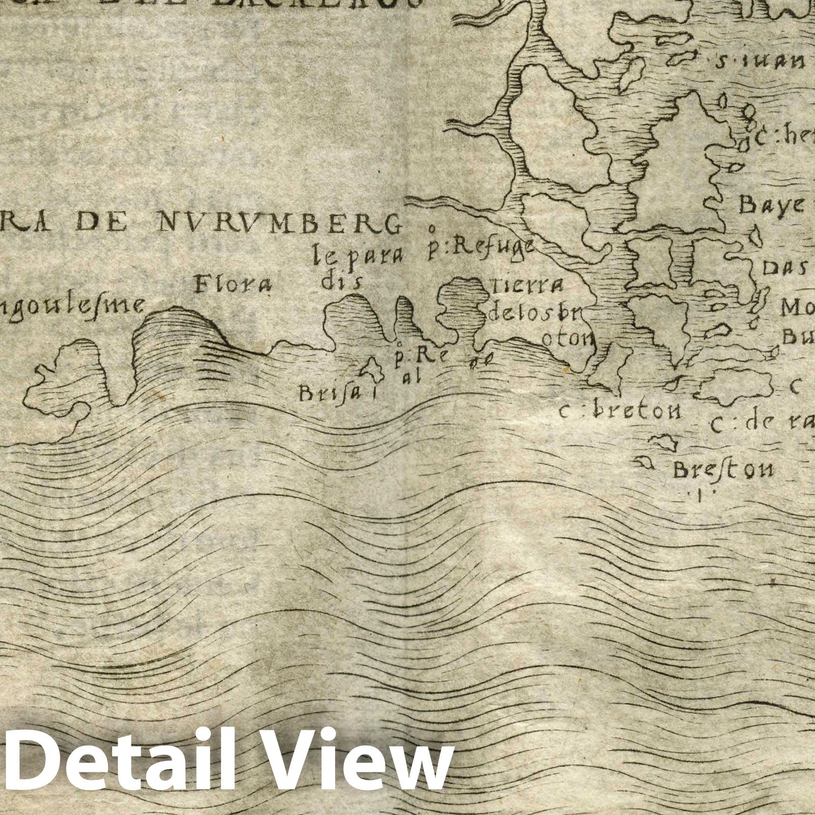 East Coast of North America - Florida to Labrador, 1548 - Historical Map Print