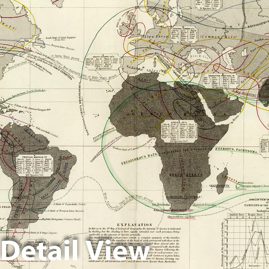 Carnivora Distribution - World, 1856 - Historical Map Print