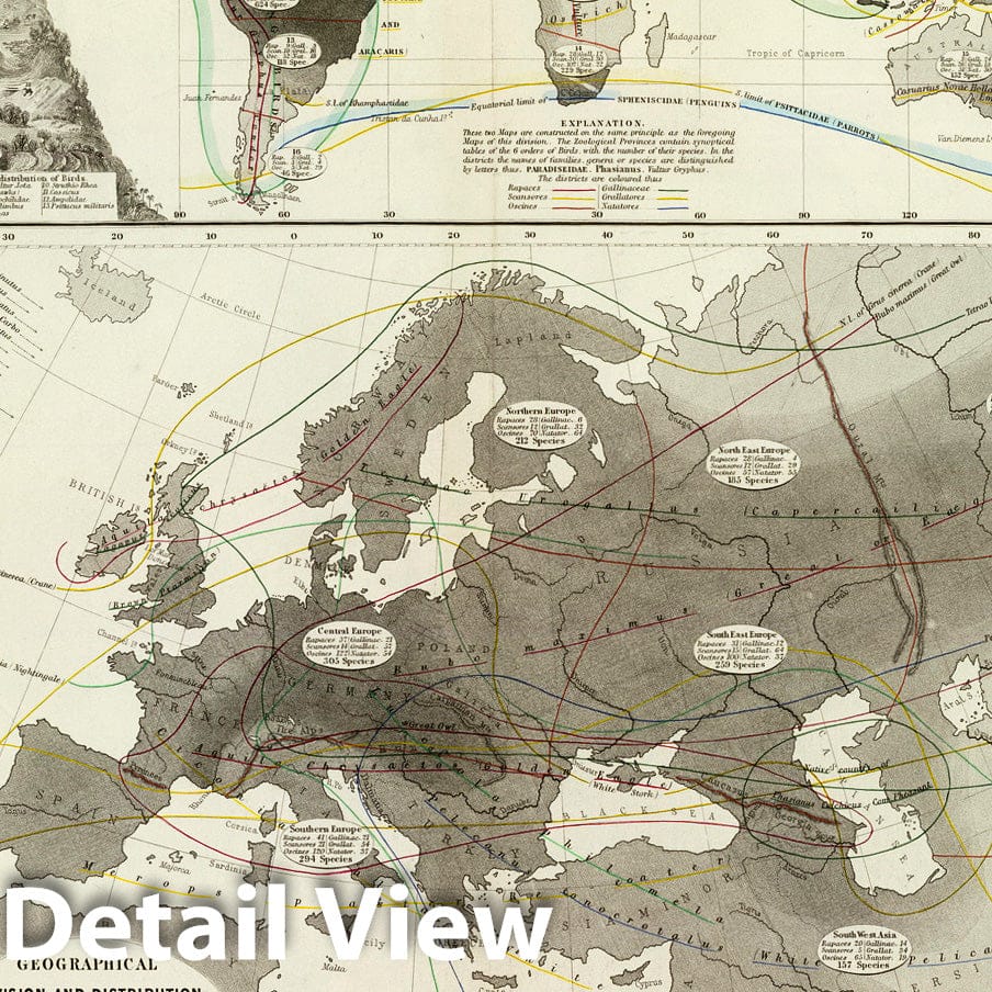 Birds of Europe and the World - 1856 Historical Map Print