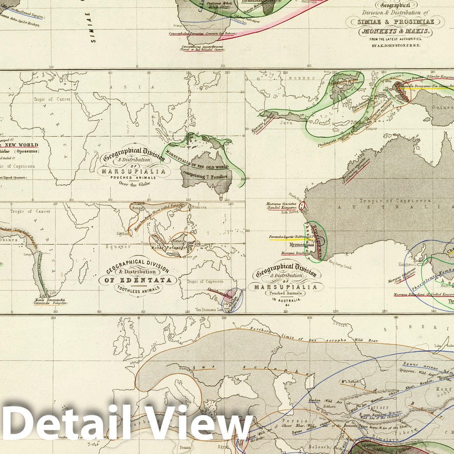 World Zoological Geography - Animal Distribution, 1856 - Historical Map Print