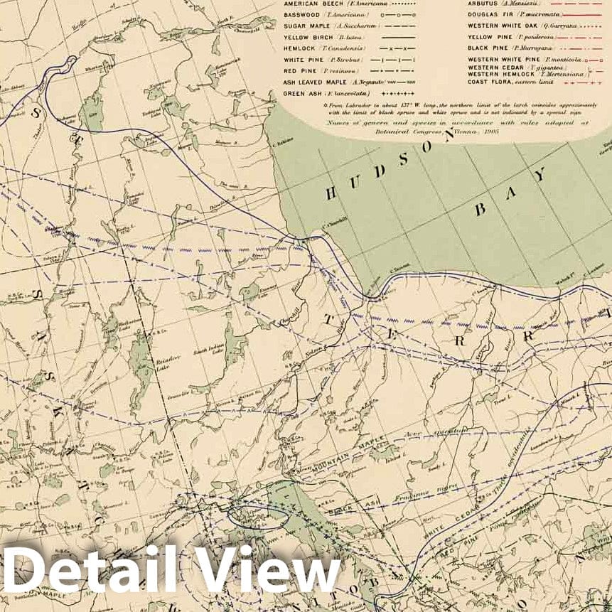 Historic Map : No. 9, Limit of forest trees 1906 - Vintage Wall Art