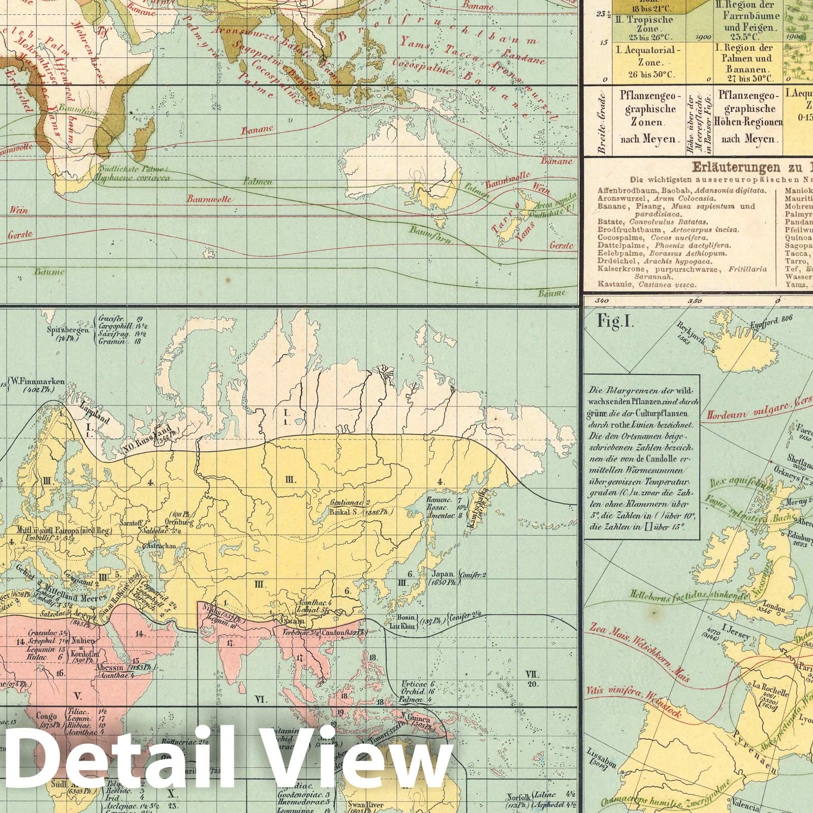 Plant Distribution, World - Climate Map, 1860 - Historical Map Print