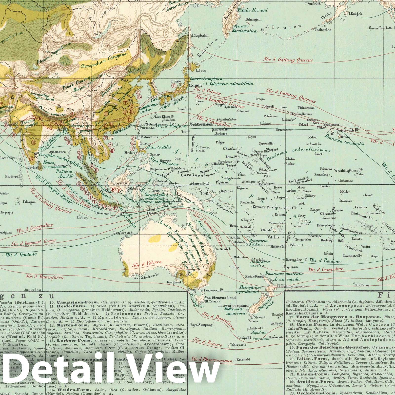 World Plant Distribution - Plate No. 18, 1860 - Historical Map Print