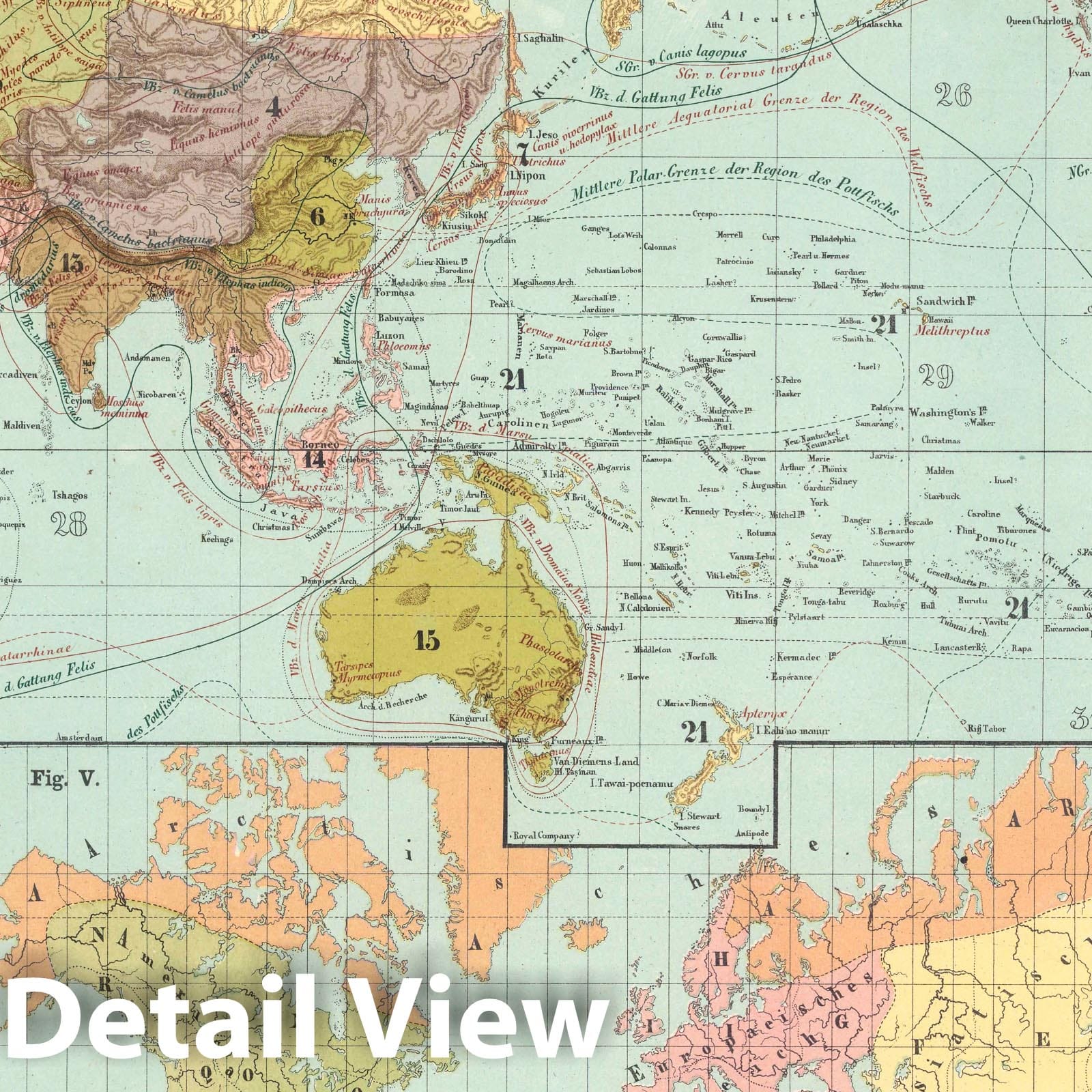 Distribution of Animals, World, 1860 - Historical Map Reproduction