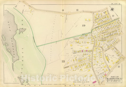 Historic Map : City Atlas - 1895 31. Wards 19, 22. - Vintage Wall Art