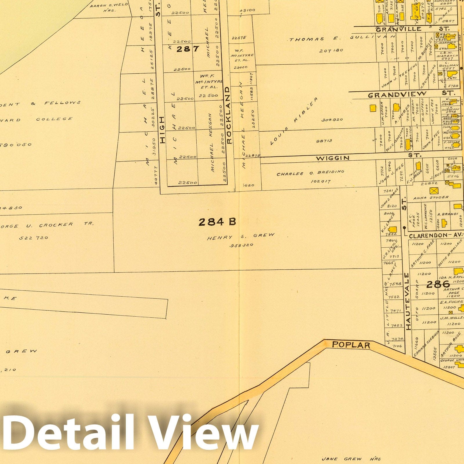 Historic Wall Map : City Atlas - 1899 25. Ward 23 West Roxbury. - Vintage Wall Art